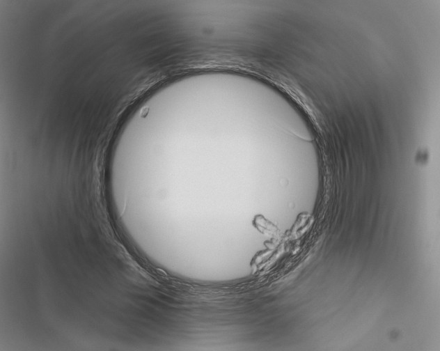 X0000116570585201001211245