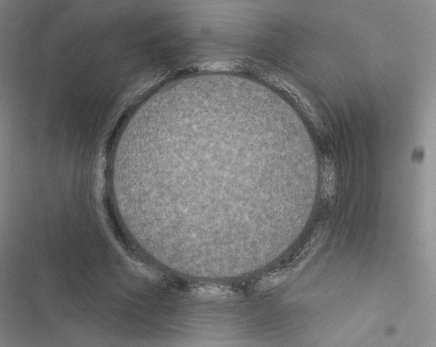 X0000116570586201001211245