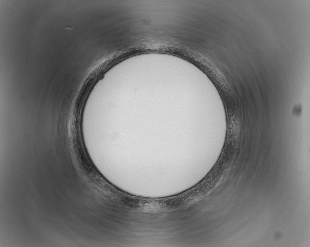 X0000116570587201001211245