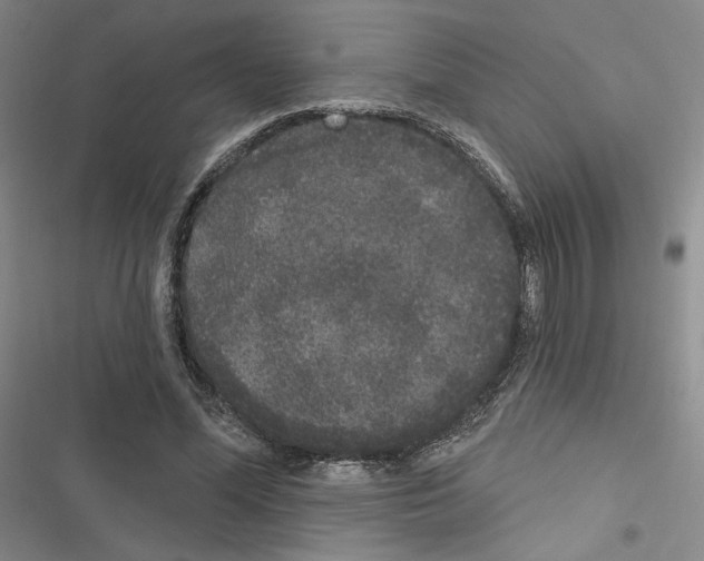 X0000116570588201001211245