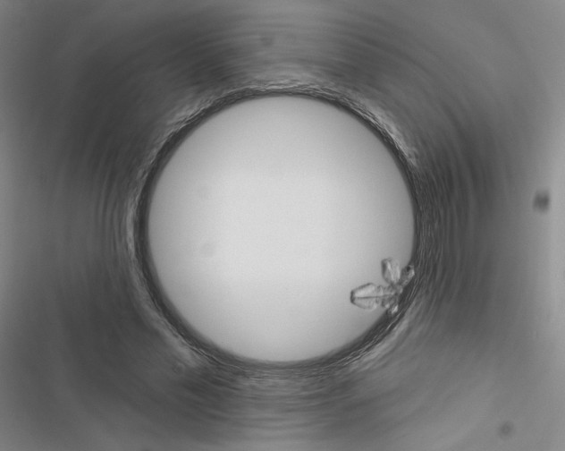 X0000116570589201001211245