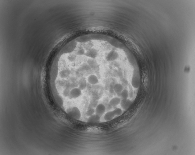 X0000116570591201001211245