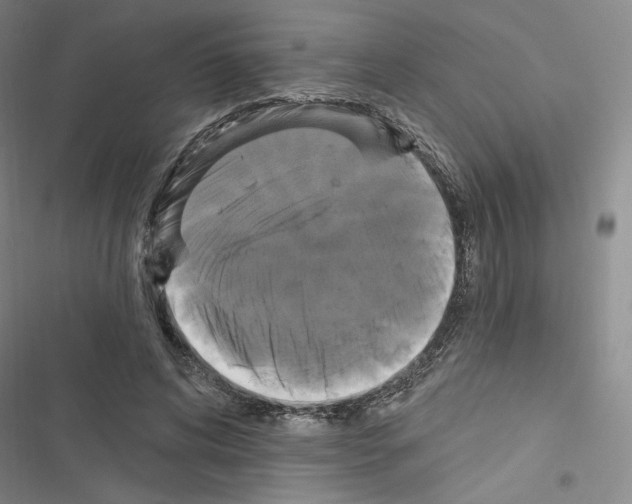 X0000116570592201001211245