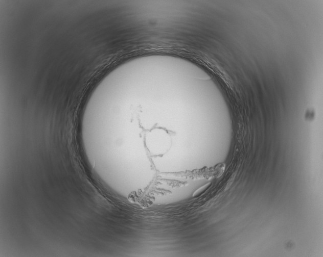 X0000116570593201001211245