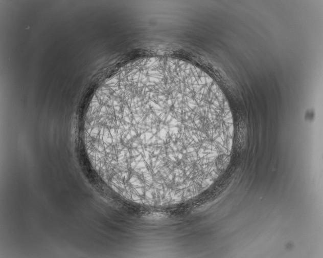 X0000116570594201001211245