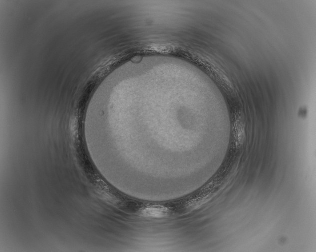 X0000116570595201001211245