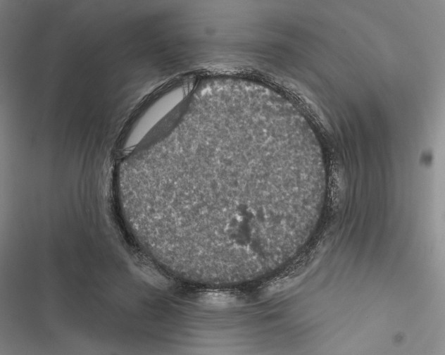 X0000116570596201001211245