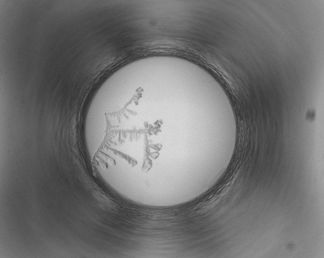 X0000116570597201001211245