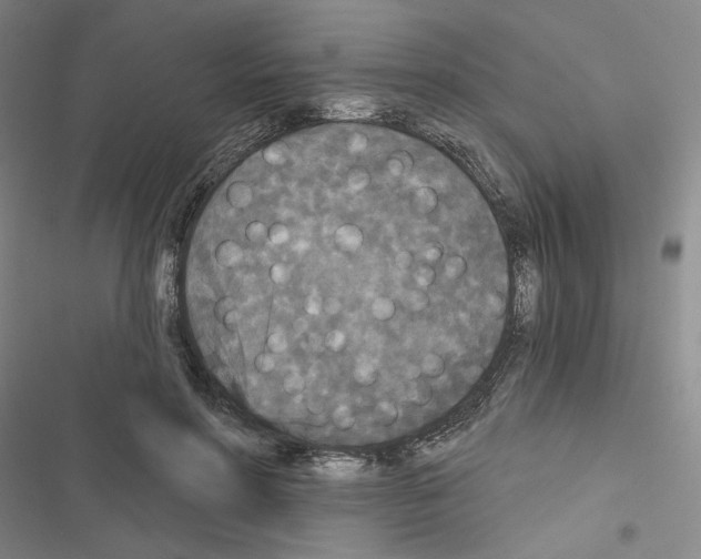 X0000116570598201001211245