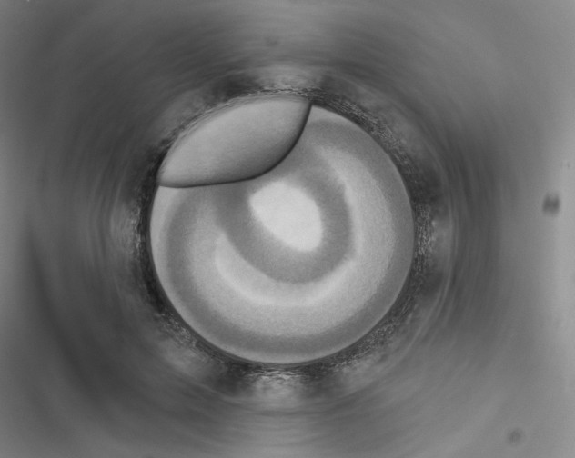 X0000116570599201001211245