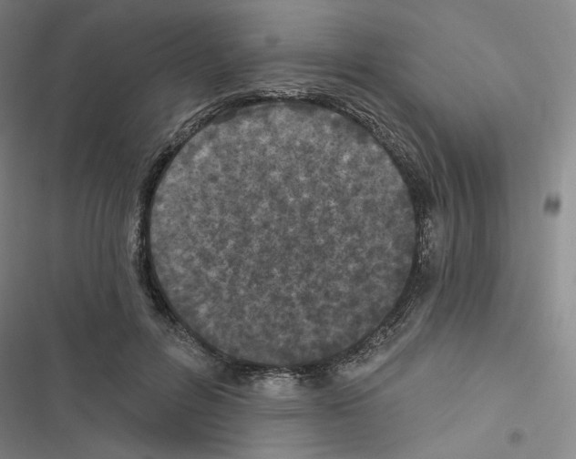 X0000116570600201001211245