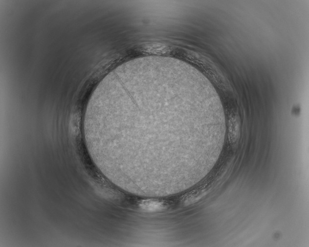 X0000116570602201001211245