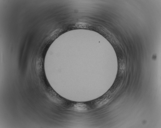 X0000116570603201001211245