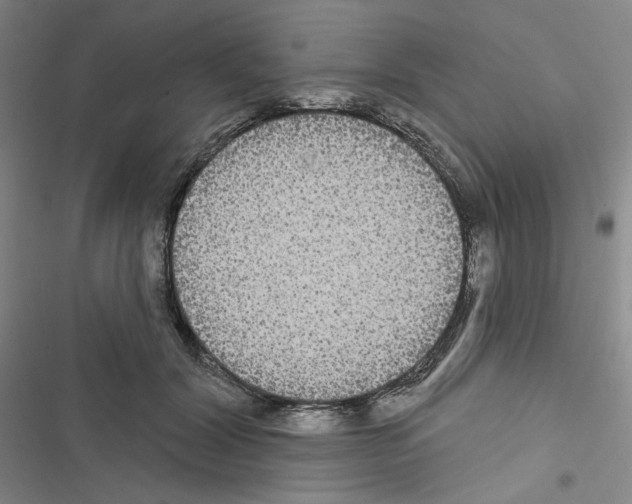 X0000116570604201001211245