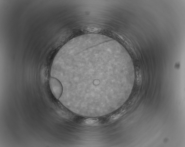 X0000116570606201001211245