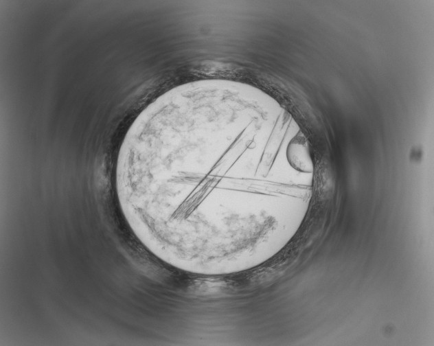 X0000116570607201001211245