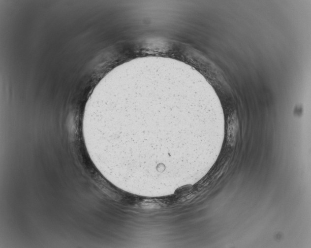 X0000116570608201001211245