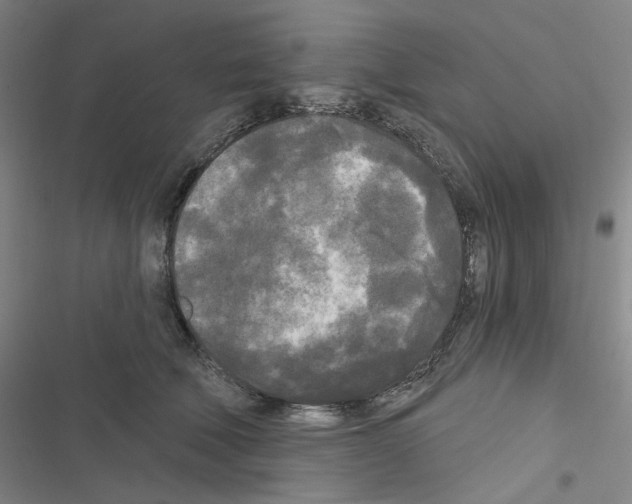 X0000116570610201001211245