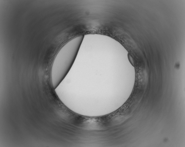 X0000116570611201001211245