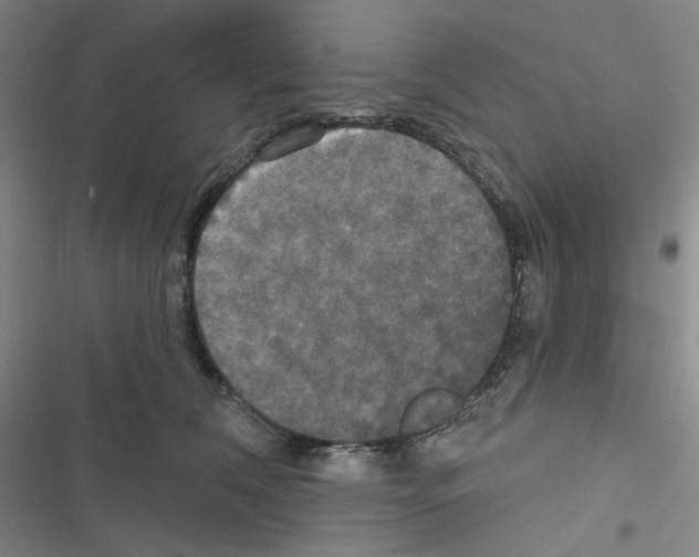 X0000116570612201001211245