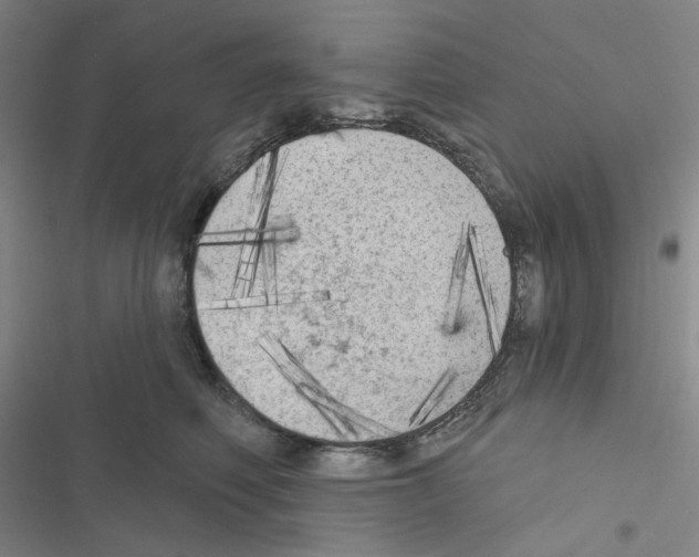 X0000116570614201001211245