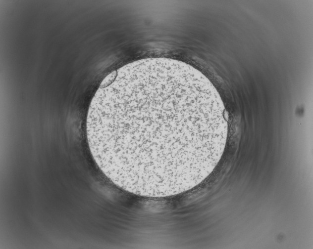 X0000116570615201001211245