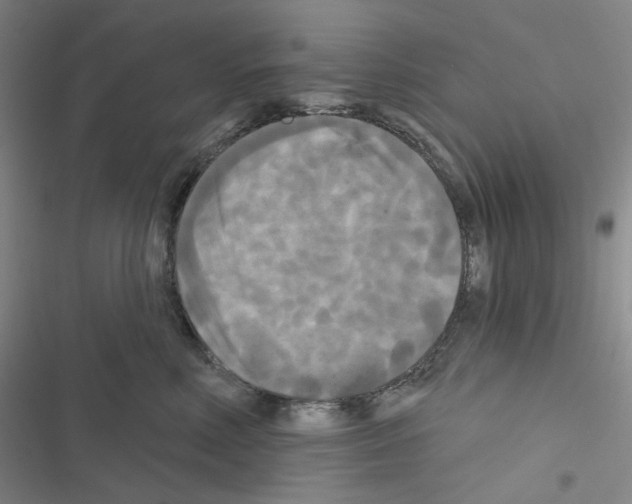 X0000116570618201001211245