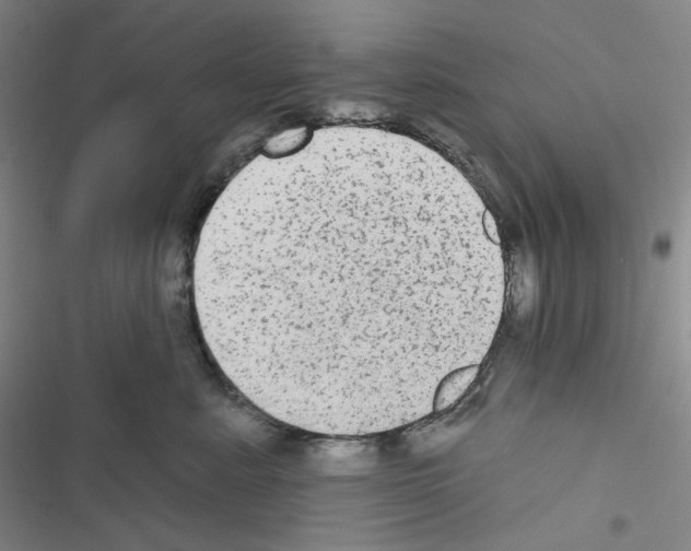 X0000116570619201001211245