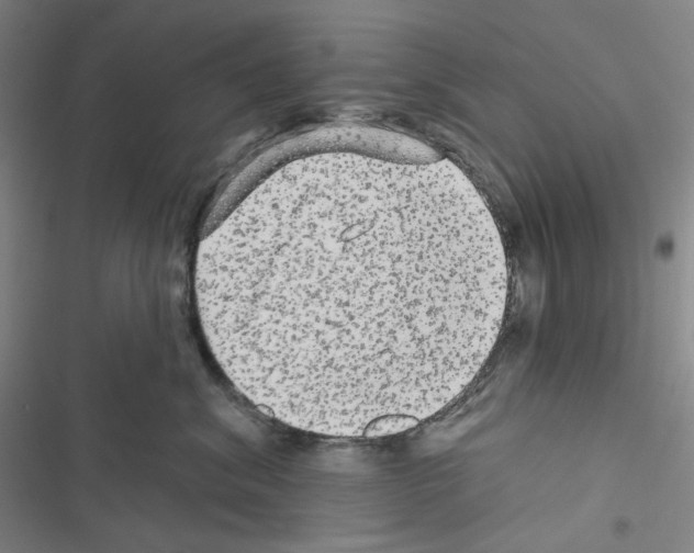 X0000116570620201001211245