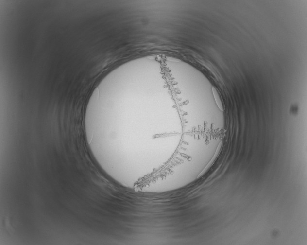 X0000116570621201001211245