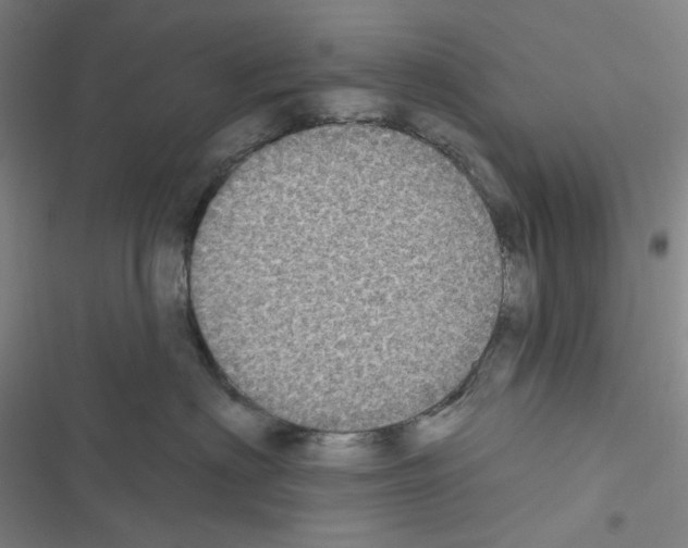 X0000116570622201001211245