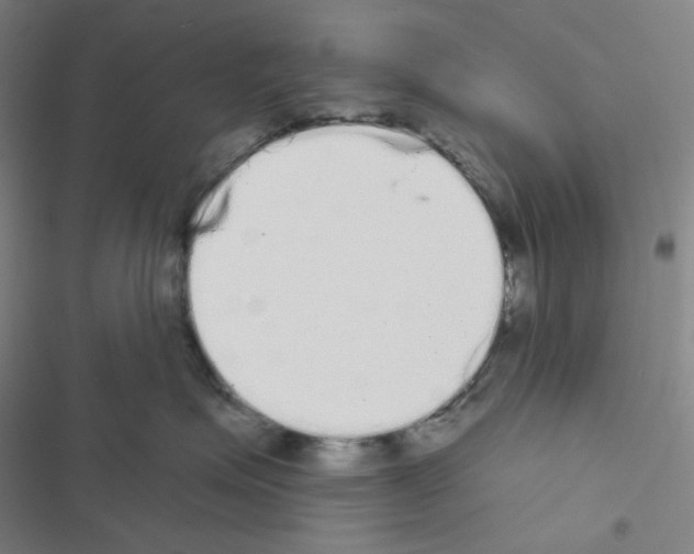 X0000116570623201001211245