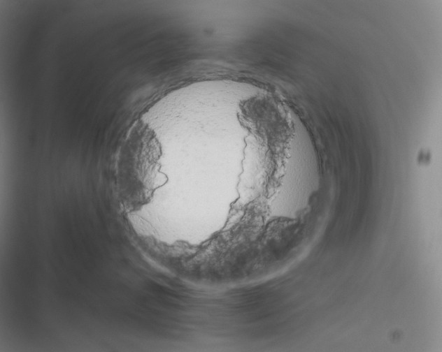 X0000116570624201001211245