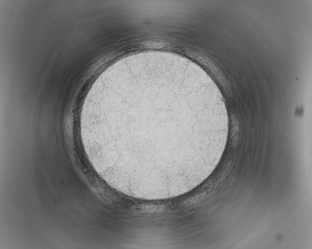 X0000116570626201001211244