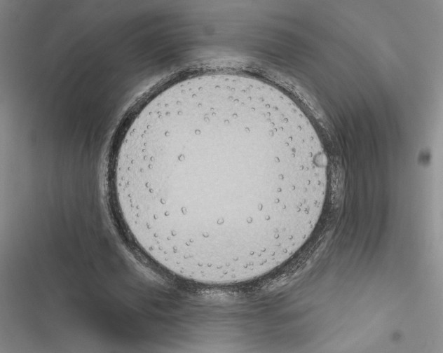 X0000116570629201001211244