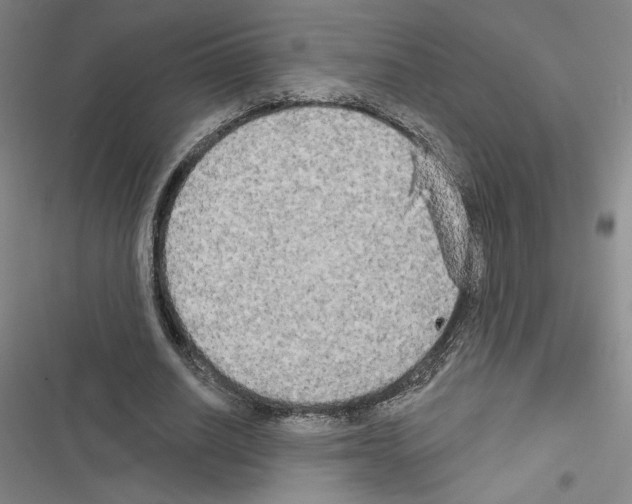 X0000116570630201001211244