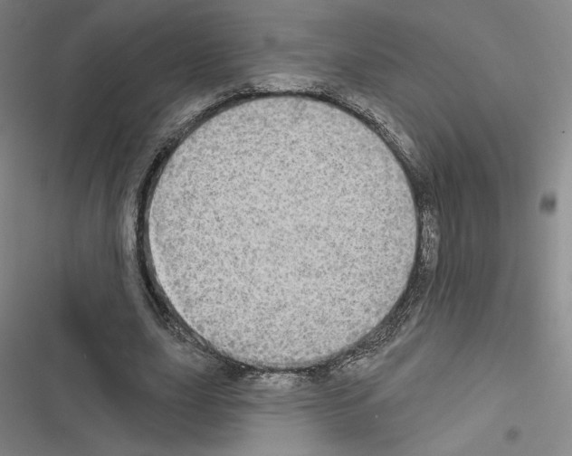 X0000116570631201001211244