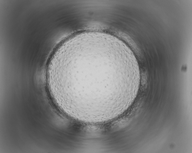 X0000116570632201001211244