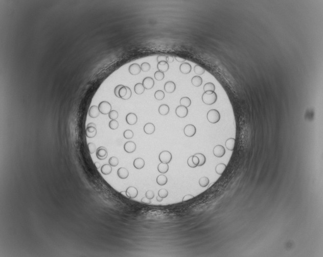 X0000116570635201001211244