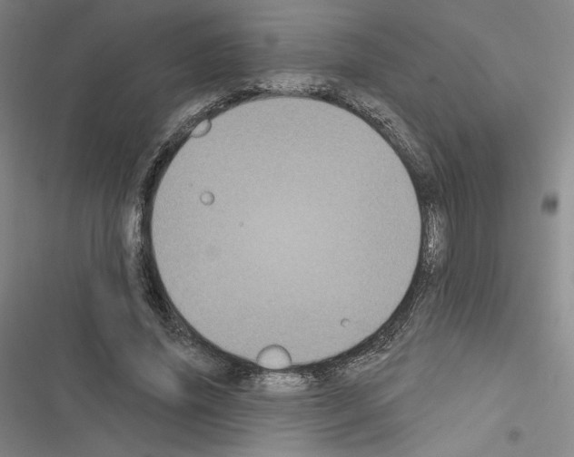 X0000116570636201001211244