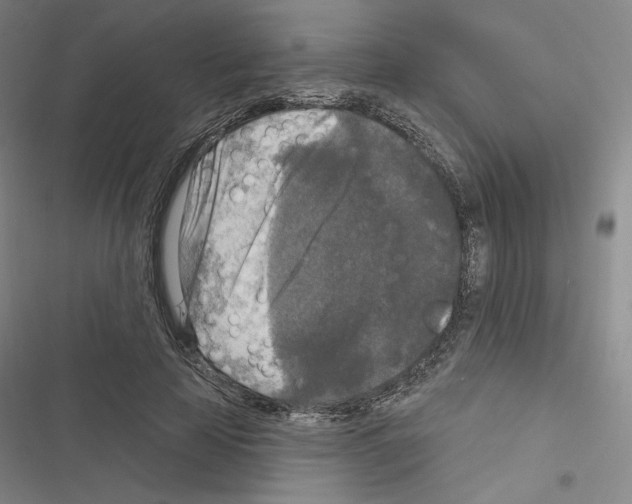 X0000116570641201001211244