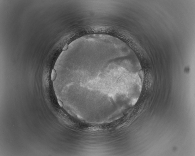 X0000116570644201001211244