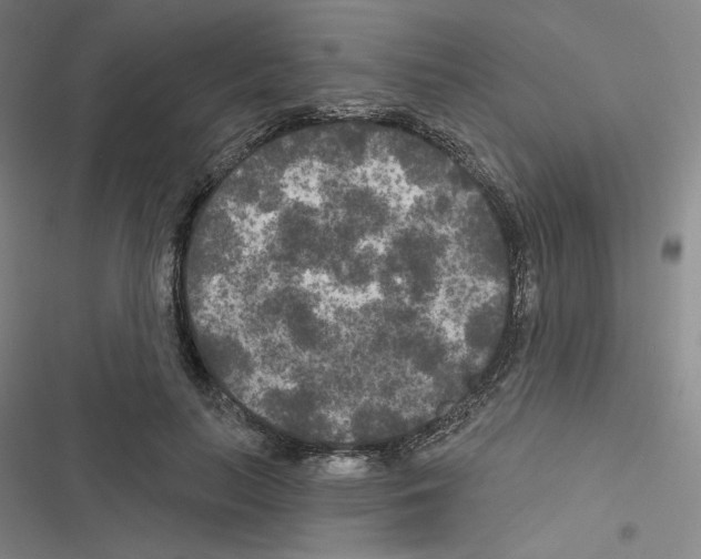 X0000116570647201001211244