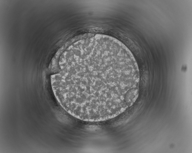 X0000116570649201001211244