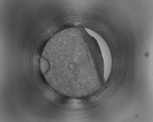 X0000116570650201001211244