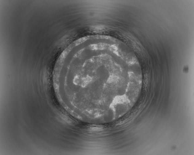 X0000116570653201001211244