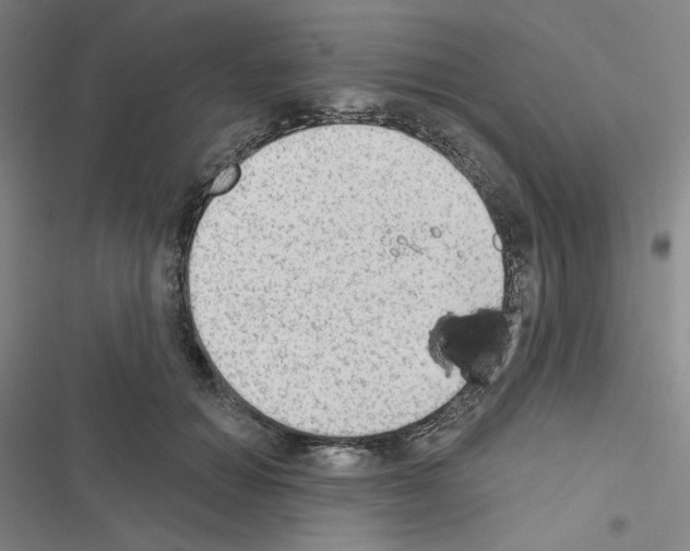 X0000116570654201001211244