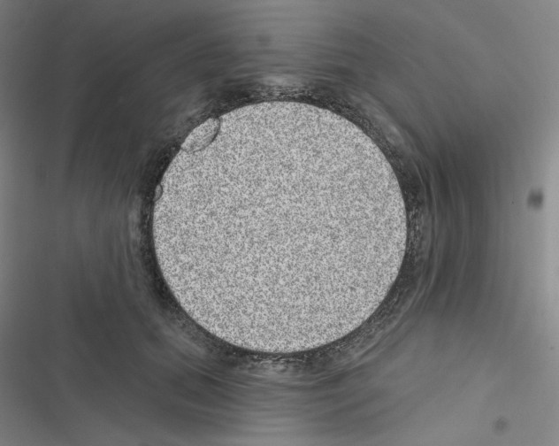 X0000116570655201001211245