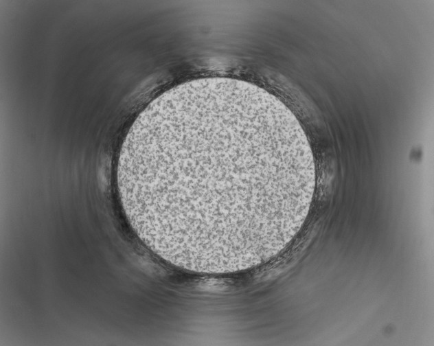 X0000116570656201001211245