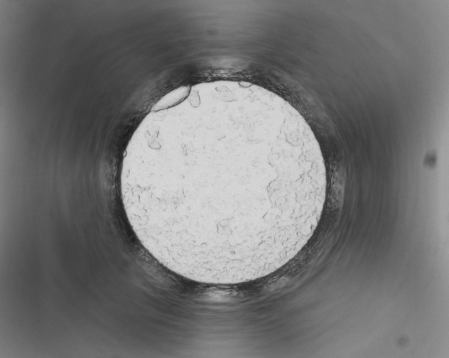 X0000116570657201001211245